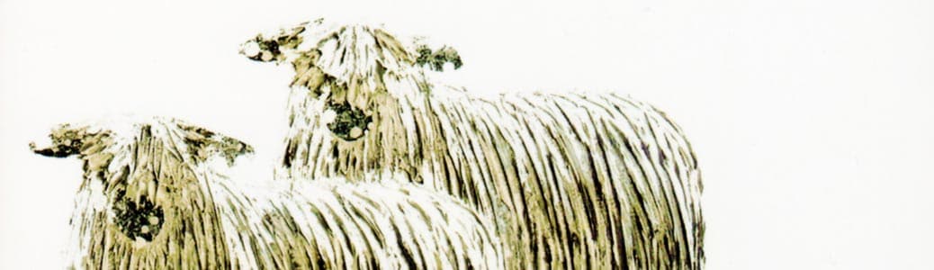 Gunnarsson, Il pastore d’Islanda, Vangelo