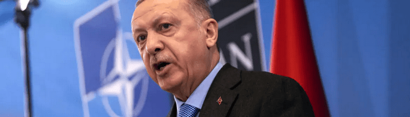 Erdogan, Turchia, Nato, Russia, Ucraina, intervista Claudio Monge